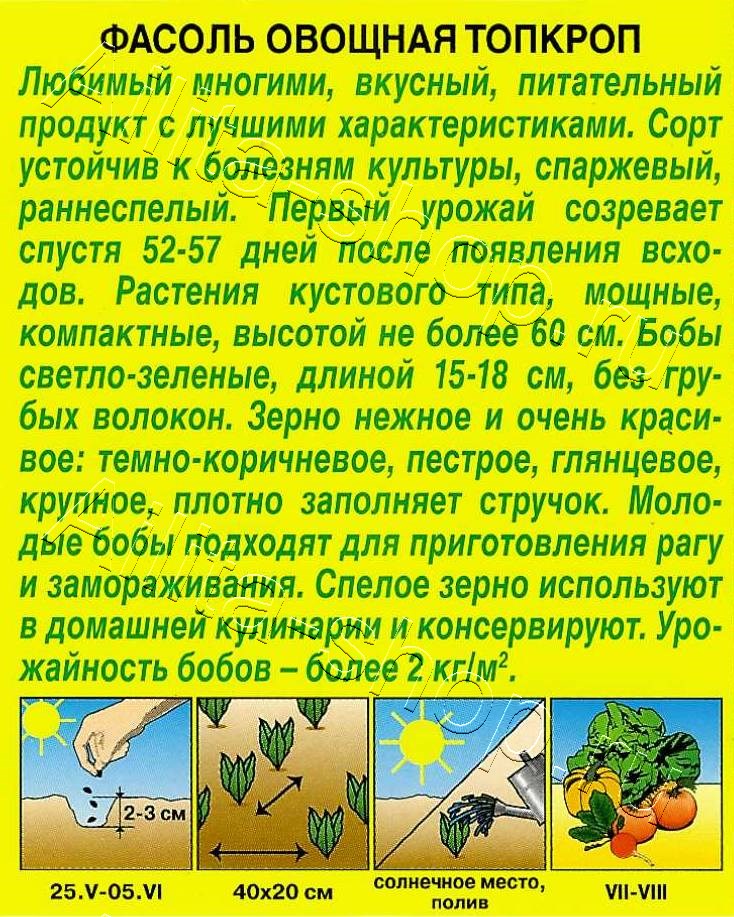 Фасоль овощная Топкроп 5г