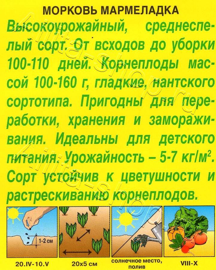 Морковь Мармеладка 2г