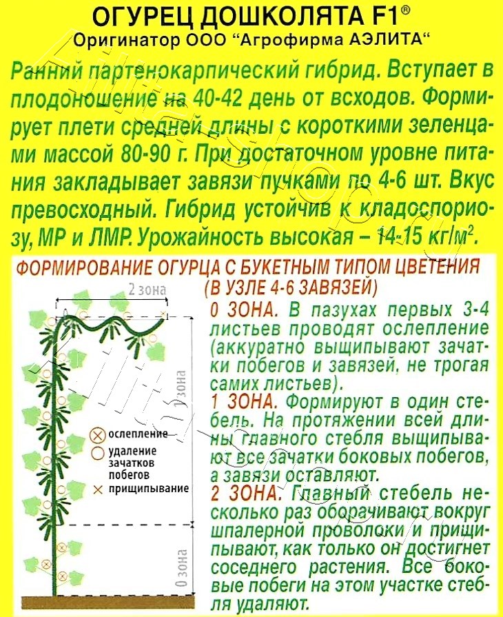 Огурец Дошколята F1 10шт