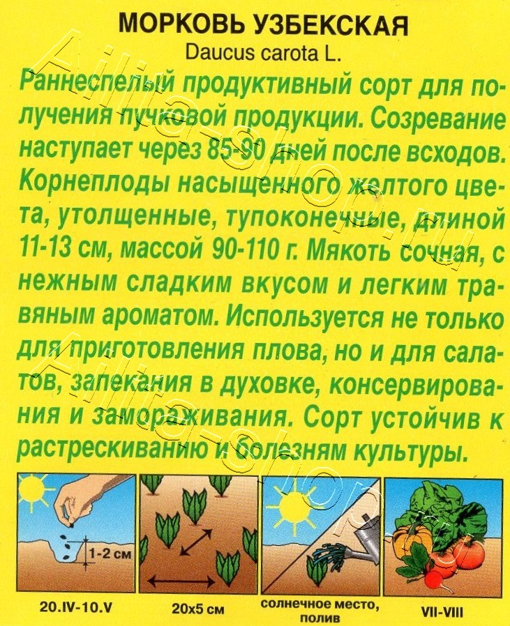 Морковь Узбекская 1г