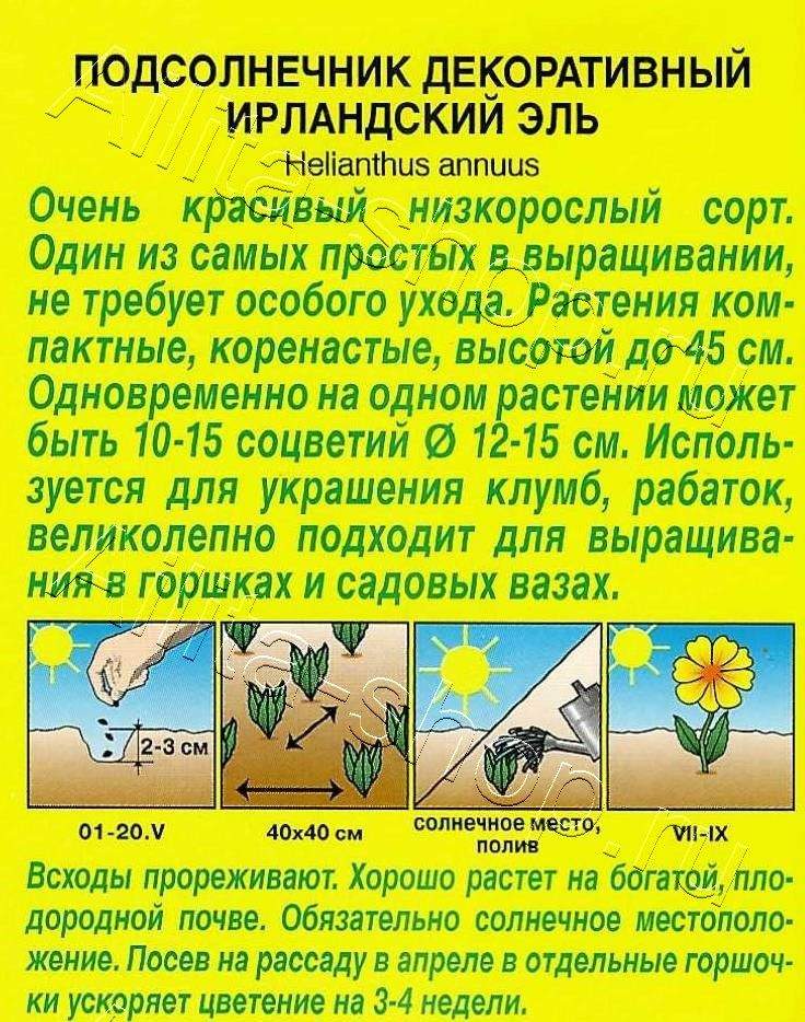 Подсолнечник Ирландский эль 0,5г