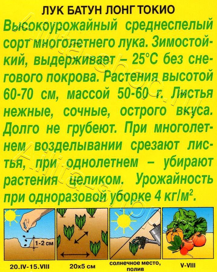 Лук батун Лонг токио 0,5г