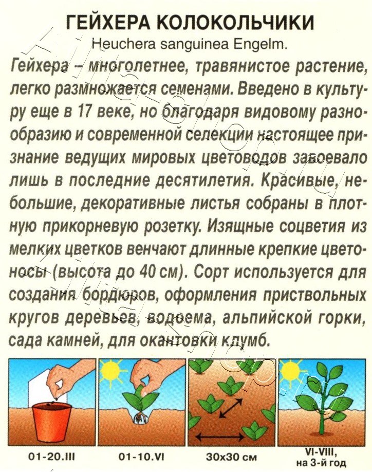 Гейхера Колокольчики 0,05г