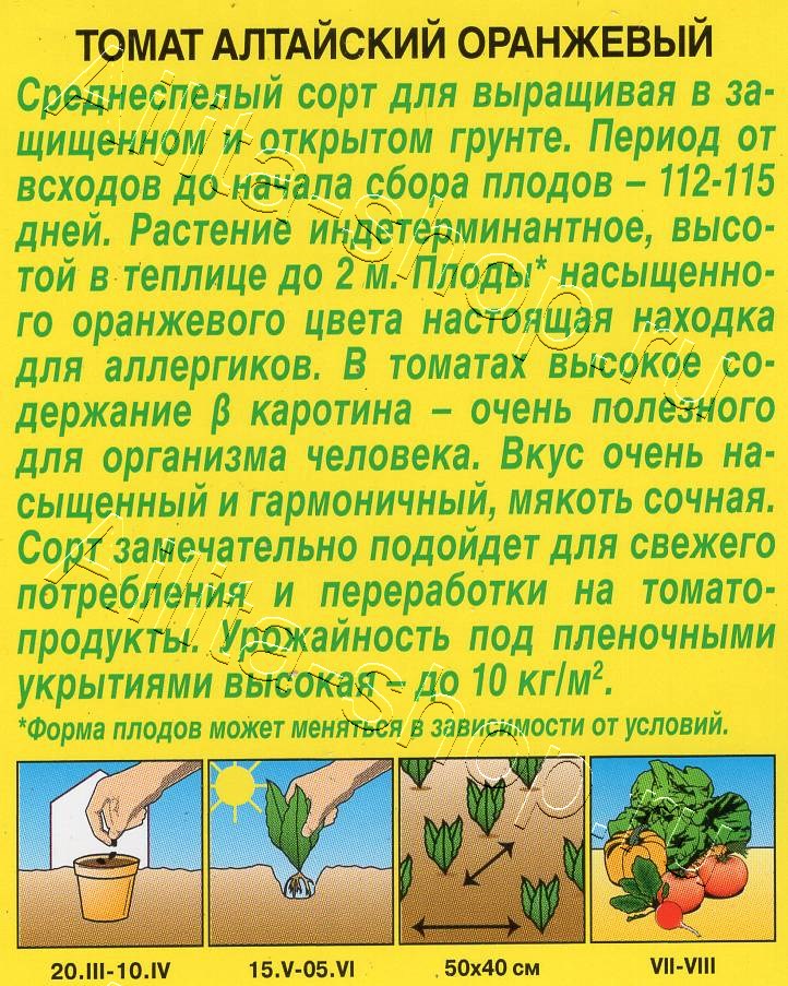 Томат Алтайский оранжевый 20шт