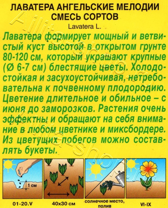 Лаватера Ангельские мелодии, смесь сортов 0,3г