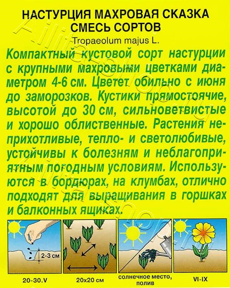 Настурция Махровая сказка, смесь окрасок 1г