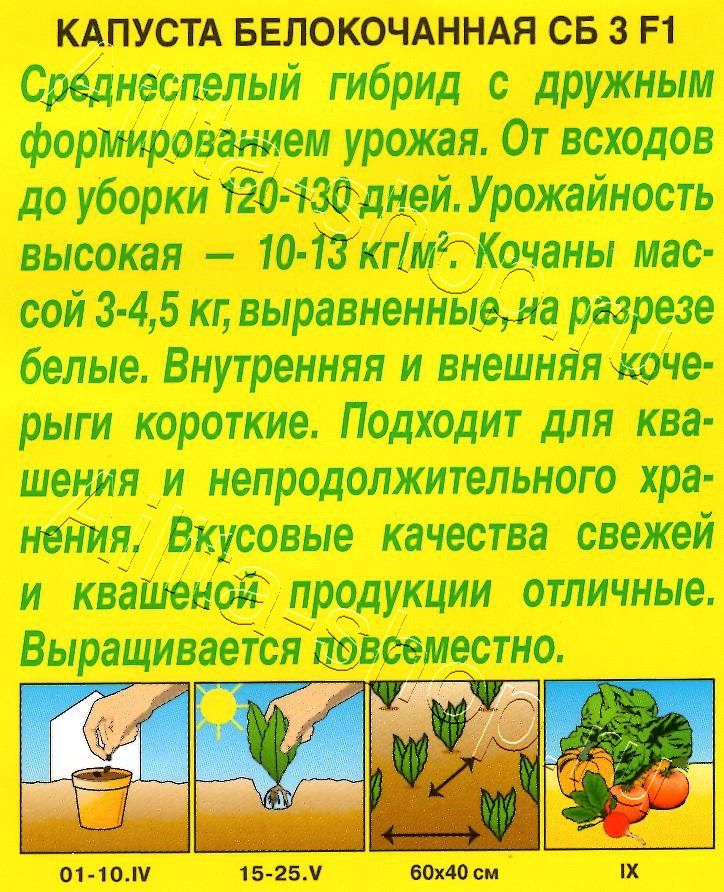 Капуста белокочанная СБ 3 F1 0,1г