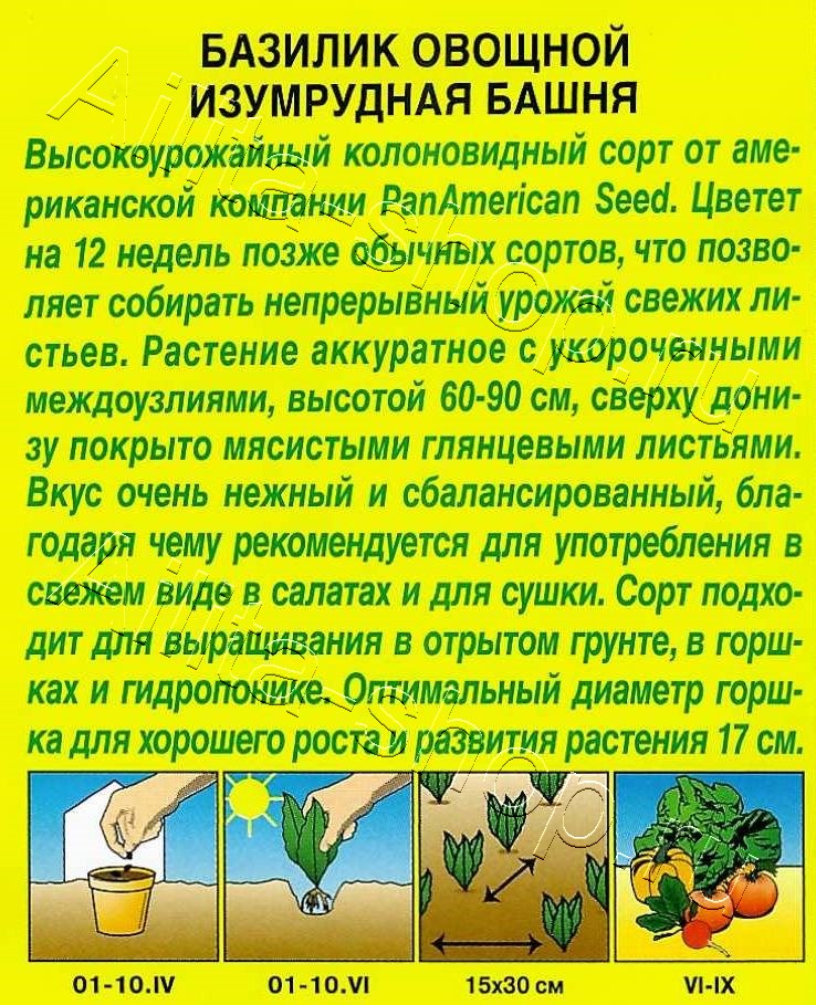 Базилик овощной Изумрудная башня 10шт