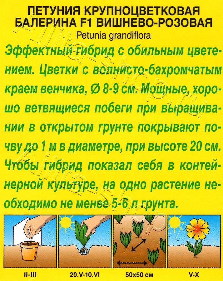 Петуния Балерина вишнево-розовая крупноцветковая F1 7шт