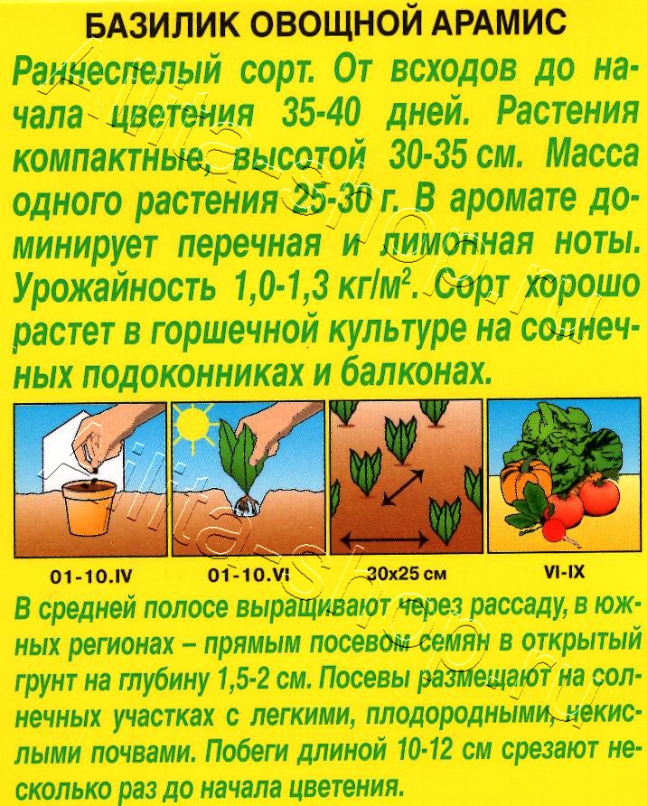 Базилик овощной Арамис 0,2г