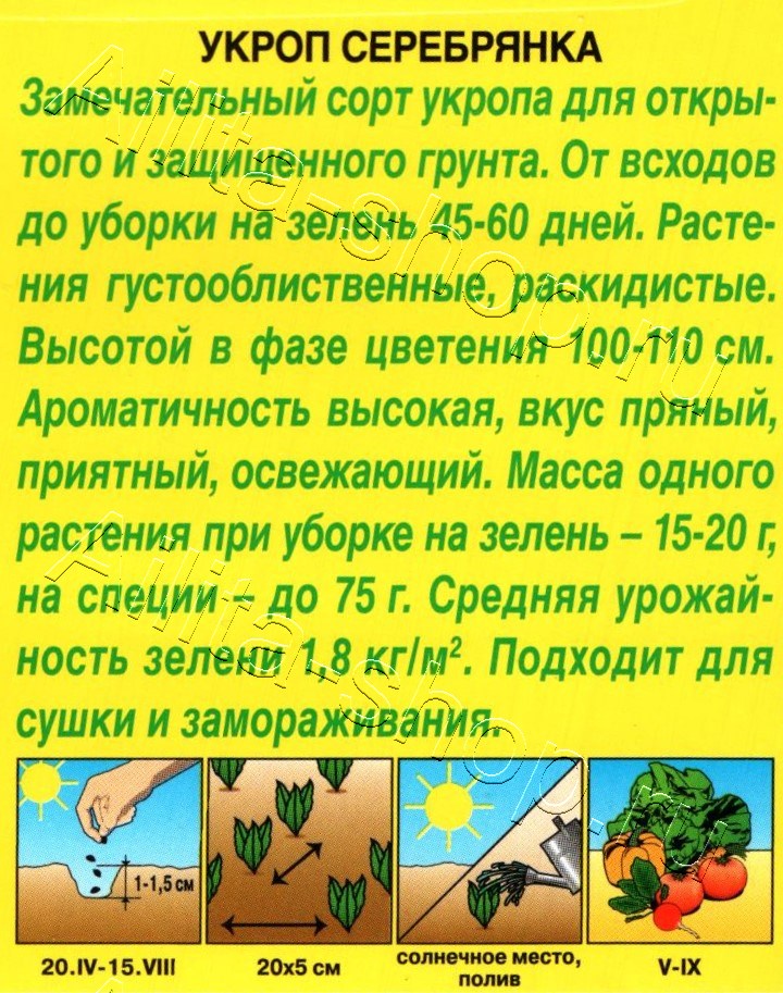 Укроп Серебрянка 3г