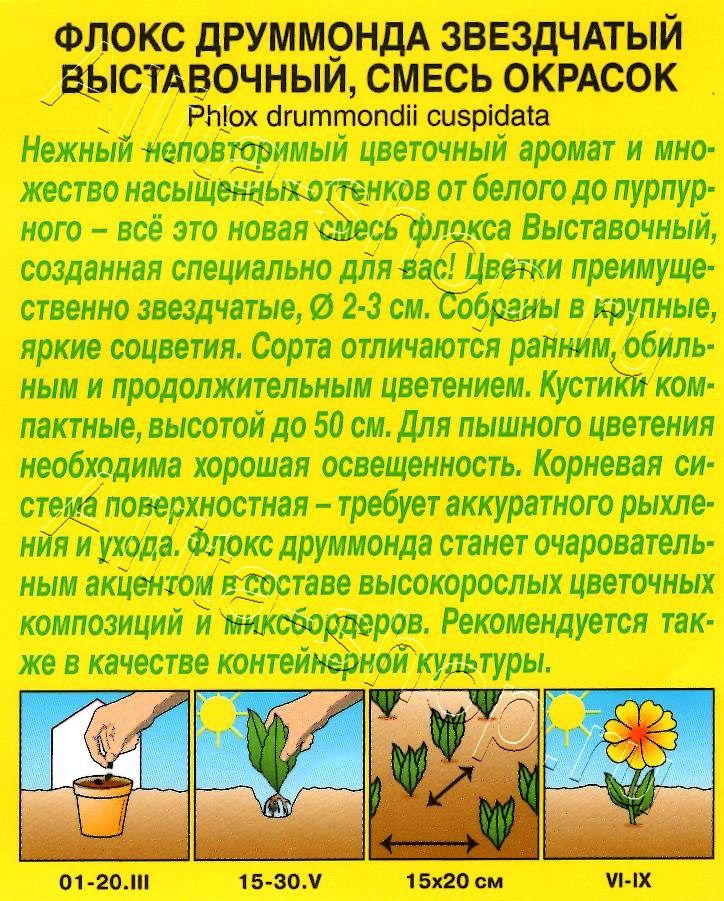 Флокс Выставочный, смесь окрасок 0,2г