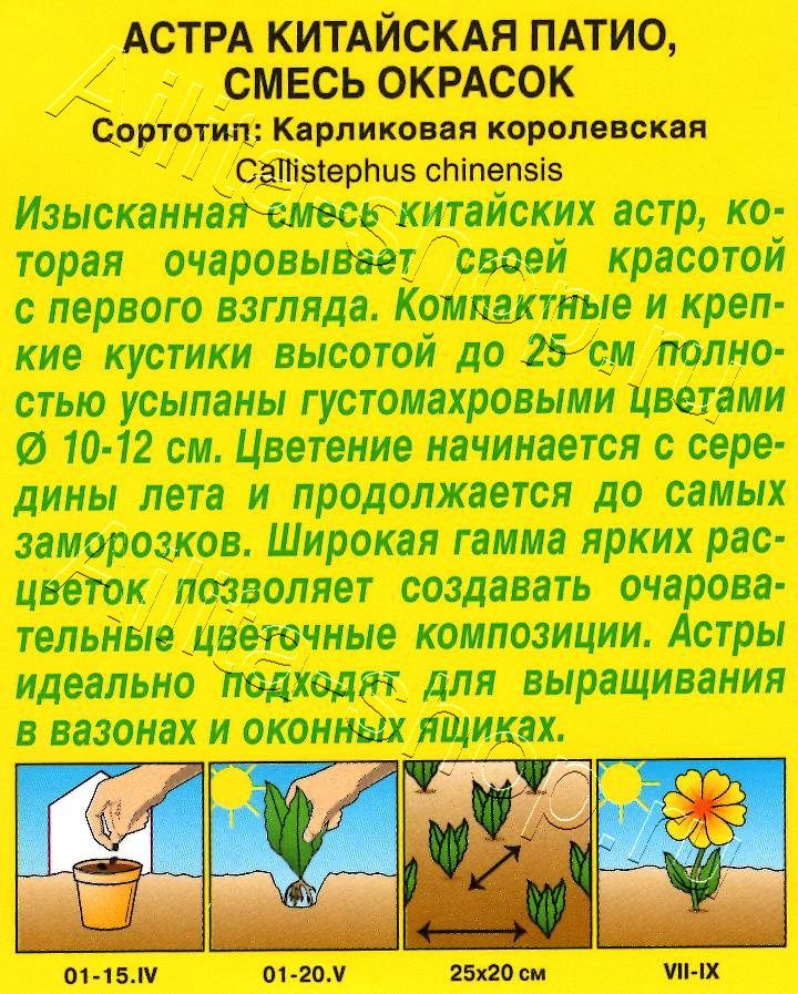 Астра Патио, смесь окрасок 0,2г