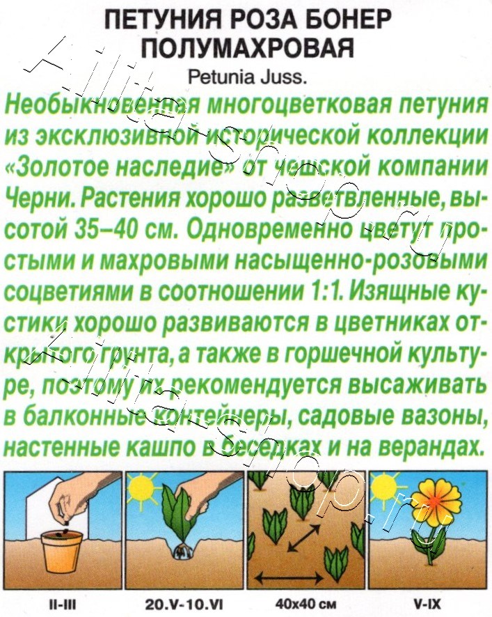 Петуния Роза бонер полумахровая 7шт