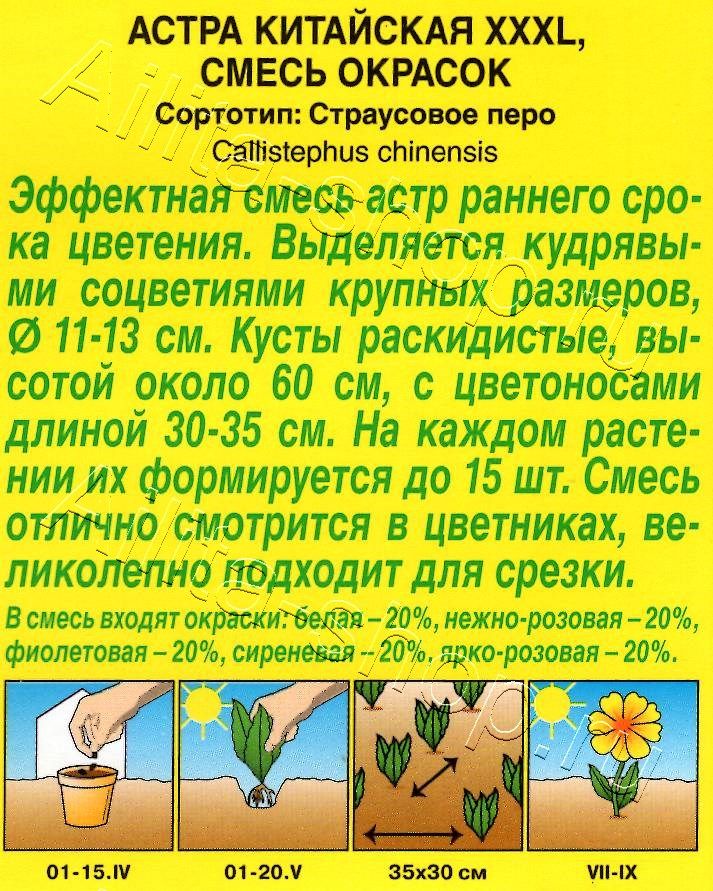 Астра ХХХL, смесь окрасок 0,2г