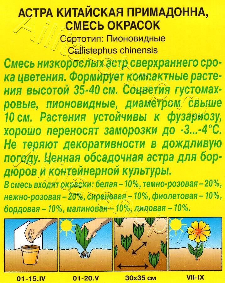 Астра Примадонна, смесь окрасок 0,2г