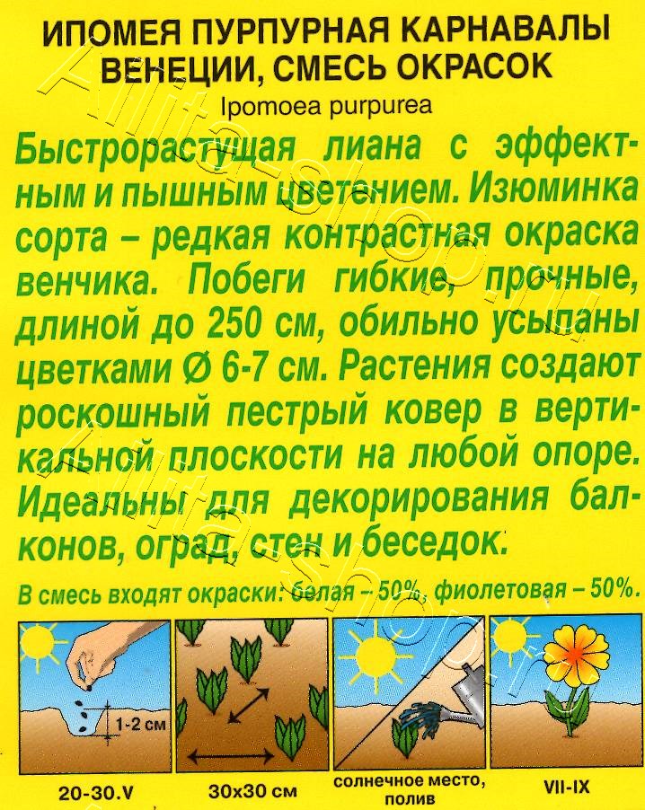 Ипомея Карнавалы Венеции, смесь сортов 9шт