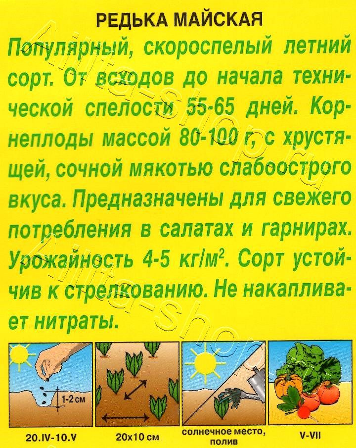 Редька Майская 1г