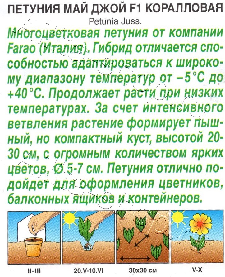 Петуния Май Джой F1 коралловая 5шт