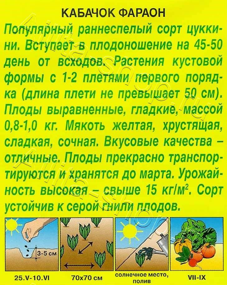 Кабачок цуккини Фараон 2г