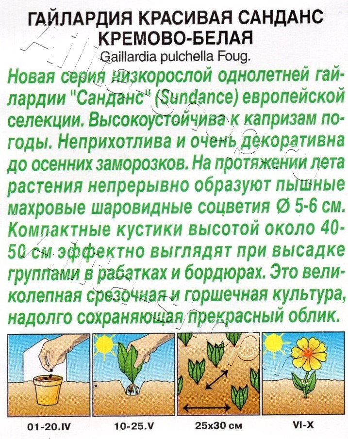 Гайлардия Санданс кремово-белая 0,05г