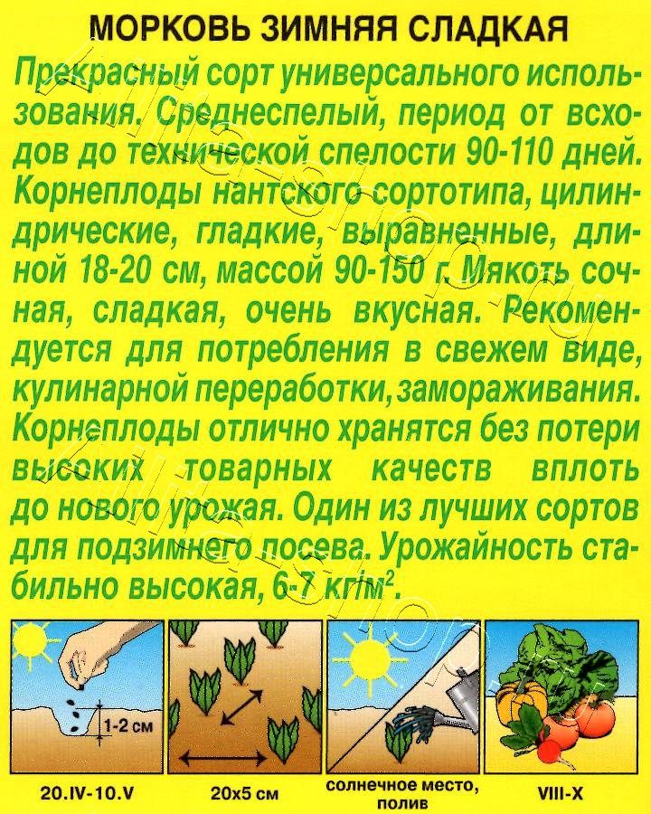 Морковь Зимняя сладкая 2г