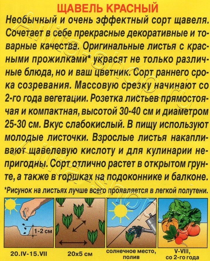 Щавель Красный 0,05г