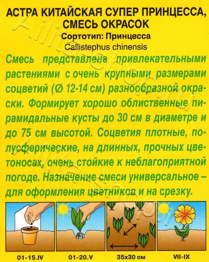 Астра Супер принцесса, смесь окрасок 0,2г