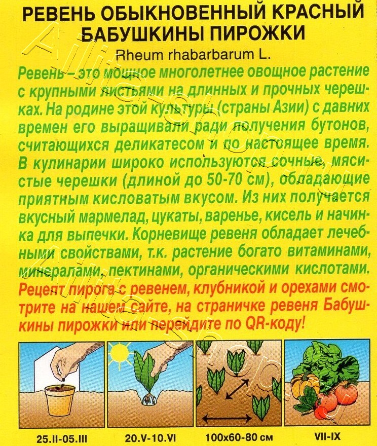 Ревень обыкновенный красный Бабушкины пирожки 0,1г