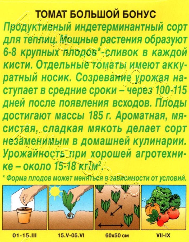 Томат Большой бонус 0,2г