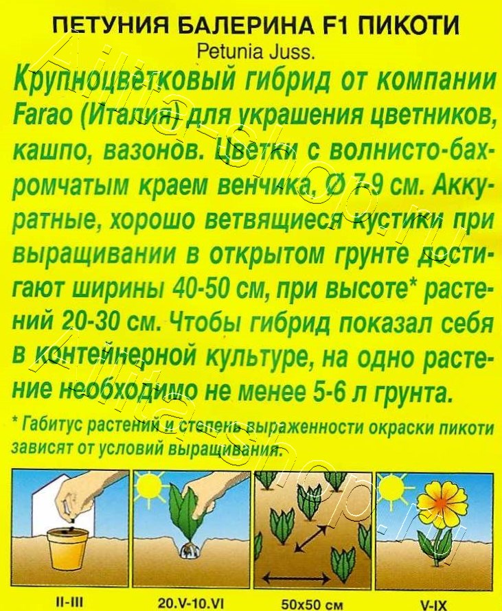 Петуния Балерина пикоти крупноцветковая F1 5шт