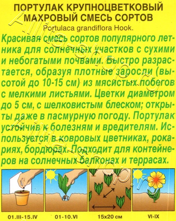 Портулак Крупноцветковый махровый, смесь сортов 0,1г