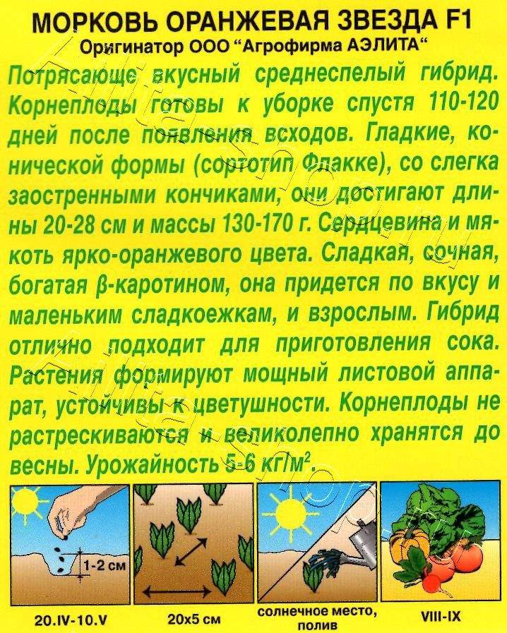 Морковь Оранжевая звезда F1 150шт