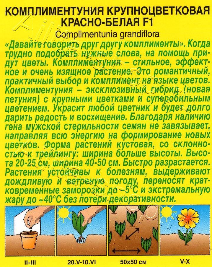 Комплиментуния красно-белая F1 крупноцветковая 10шт