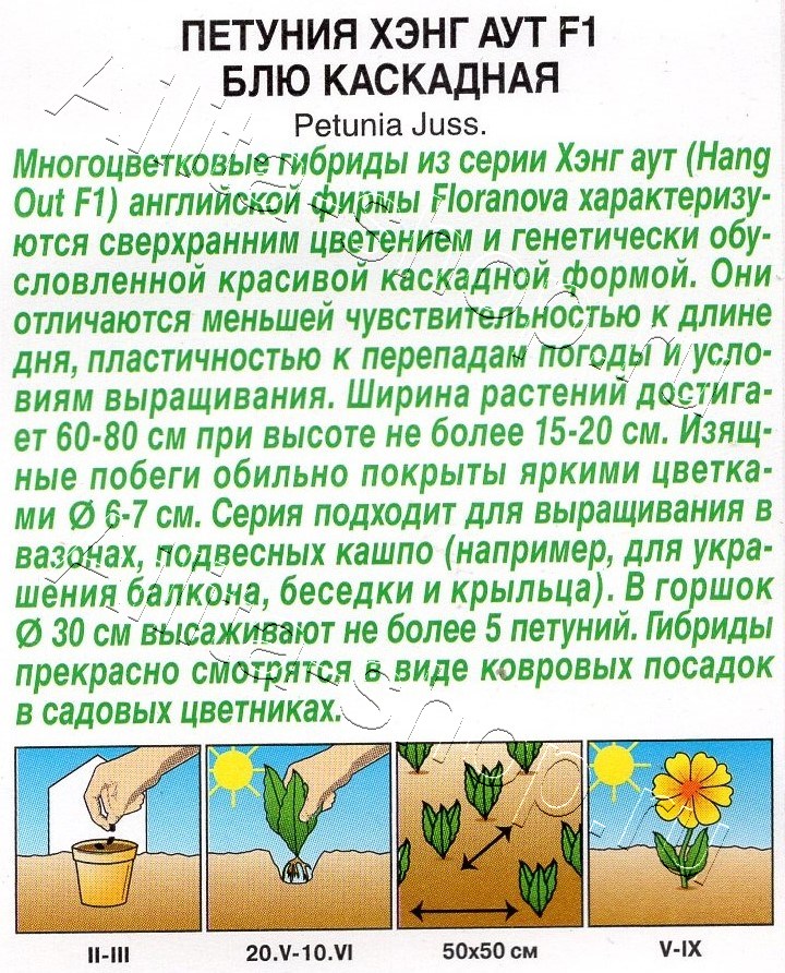 Петуния Хэнг аут F1 блю каскадная 4шт