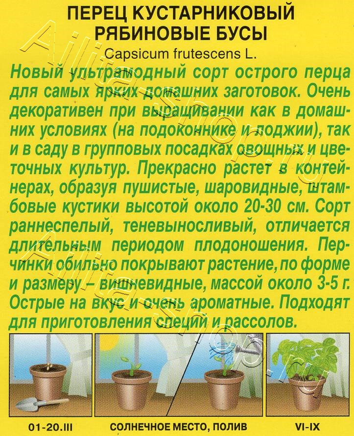 Перец кустарниковый Рябиновые бусы 10шт