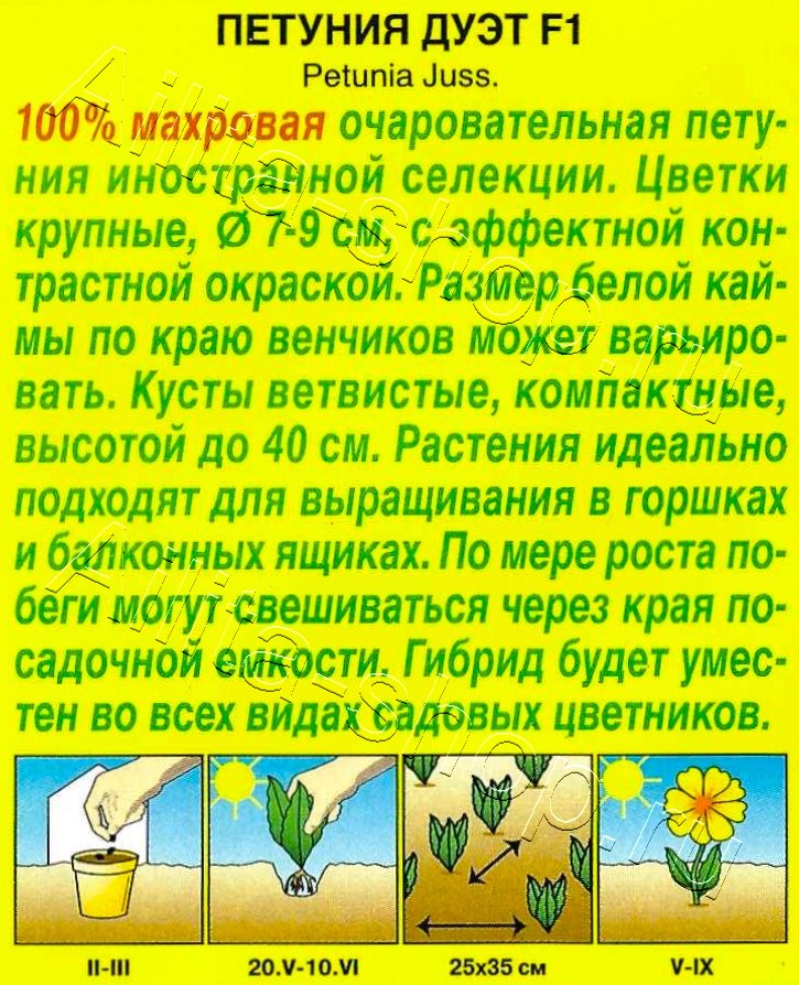 Петуния Дуэт F1 крупноцветковая каскадная махровая 5шт