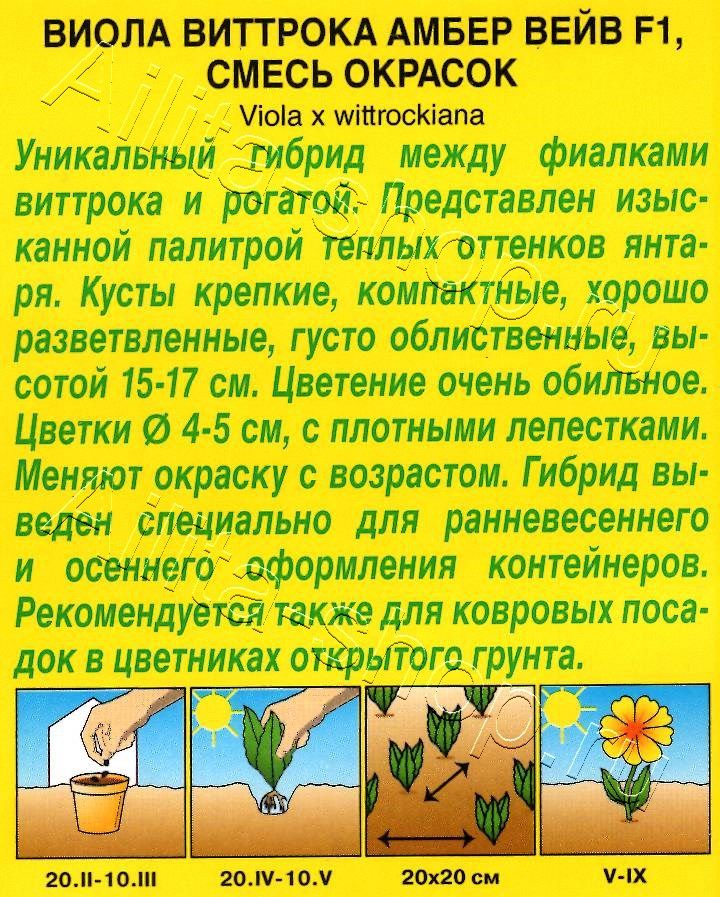 Виола Амбер вейв F1, смесь окрасок 7шт
