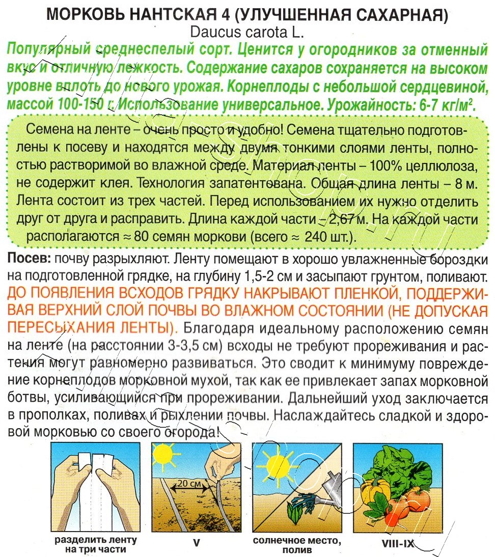 Морковь Нантская 4 (улучшенная сахарная) 8м