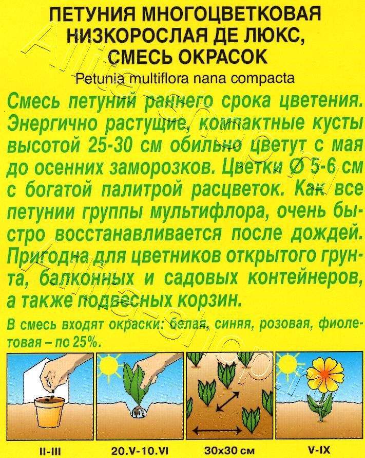Петуния Де Люкс многоцветковая, смесь окрасок 0,1г