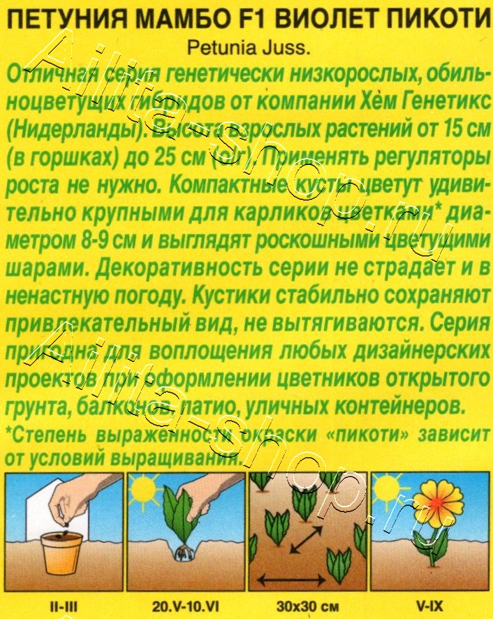 Петуния Мамбо F1 виолет пикоти многоцветковая 7шт