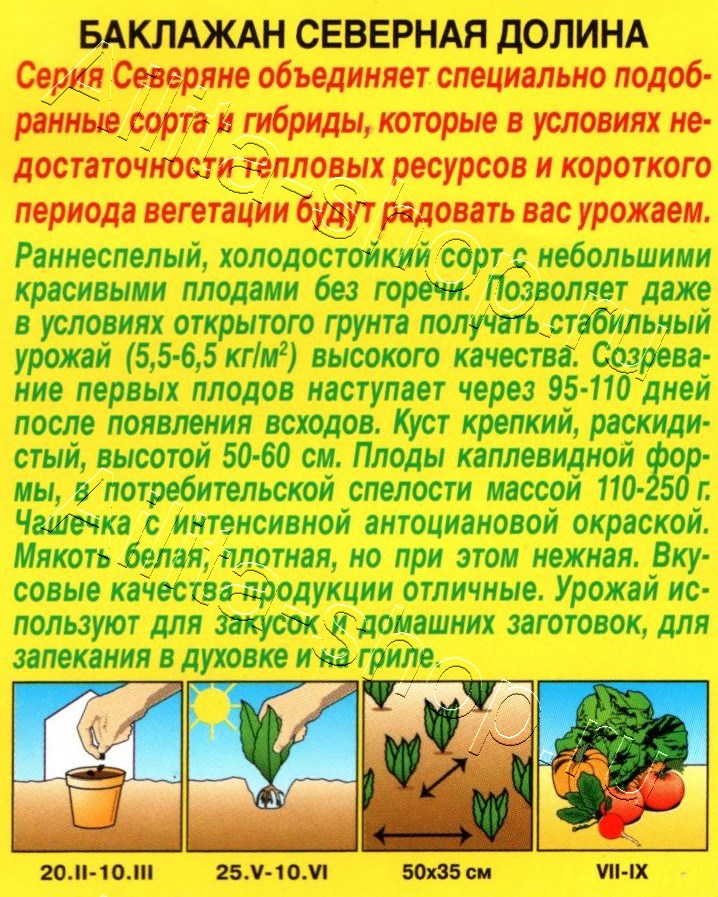 Баклажан Северная долина 0,3г