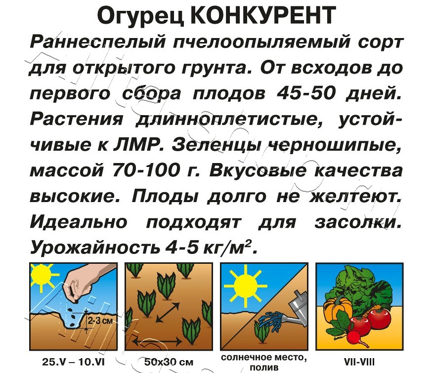 Огурец Конкурент 20шт