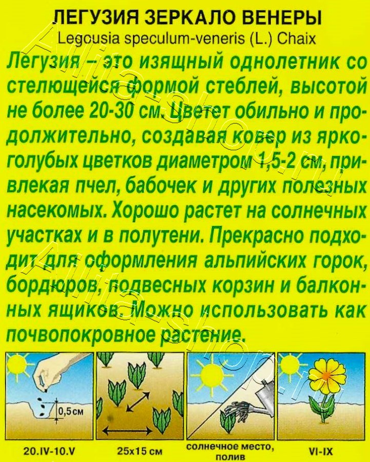 Легузия Зеркало Венеры 0,1г