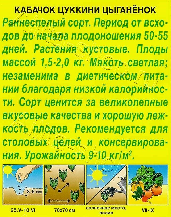 Кабачок цуккини Цыганенок 1г