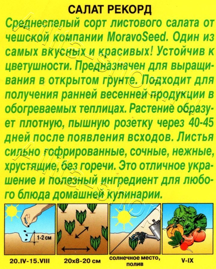 Салат Рекорд 0,5г