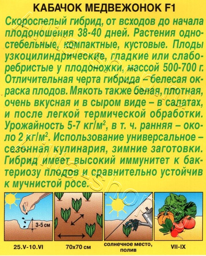 Кабачок белоплодный Медвежонок F1 1г