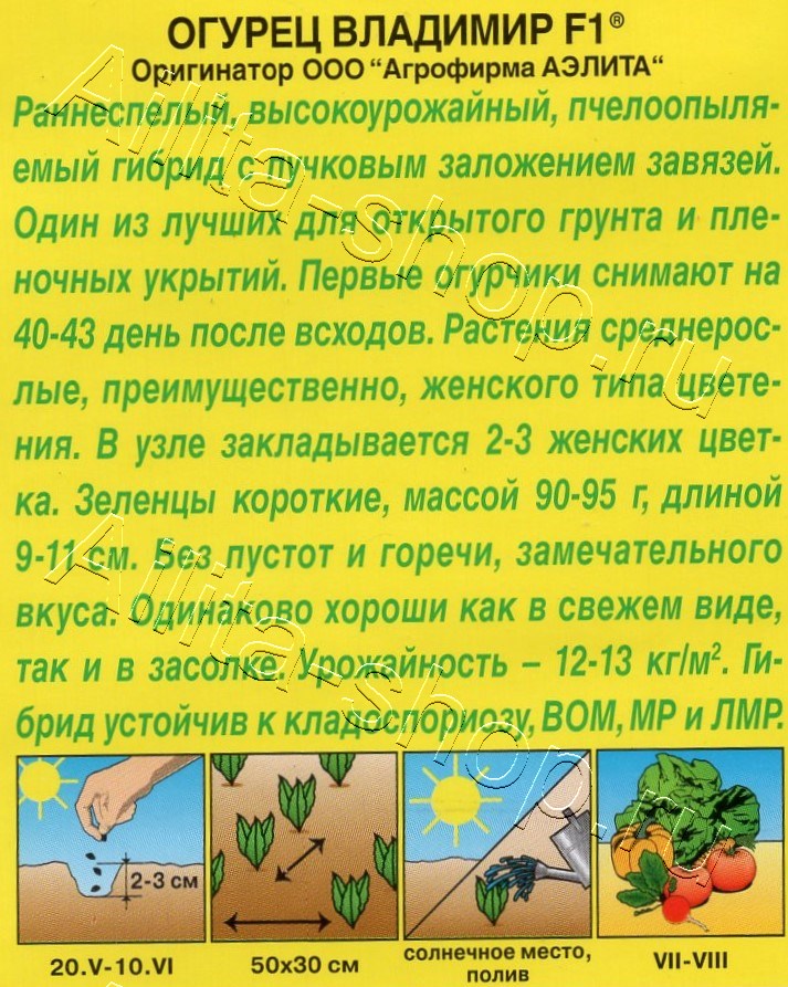 Огурец Владимир F1 10шт