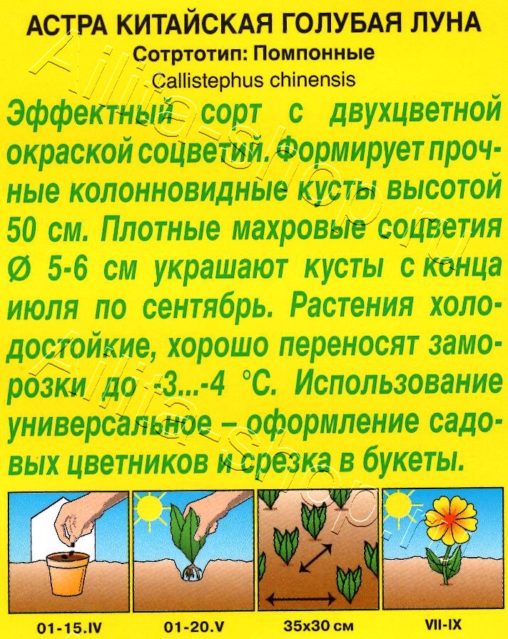 Астра Голубая луна помпонная 0,1г