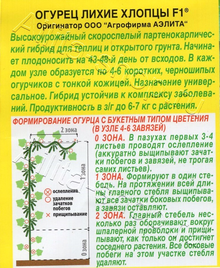 Огурец Лихие хлопцы F1 10шт